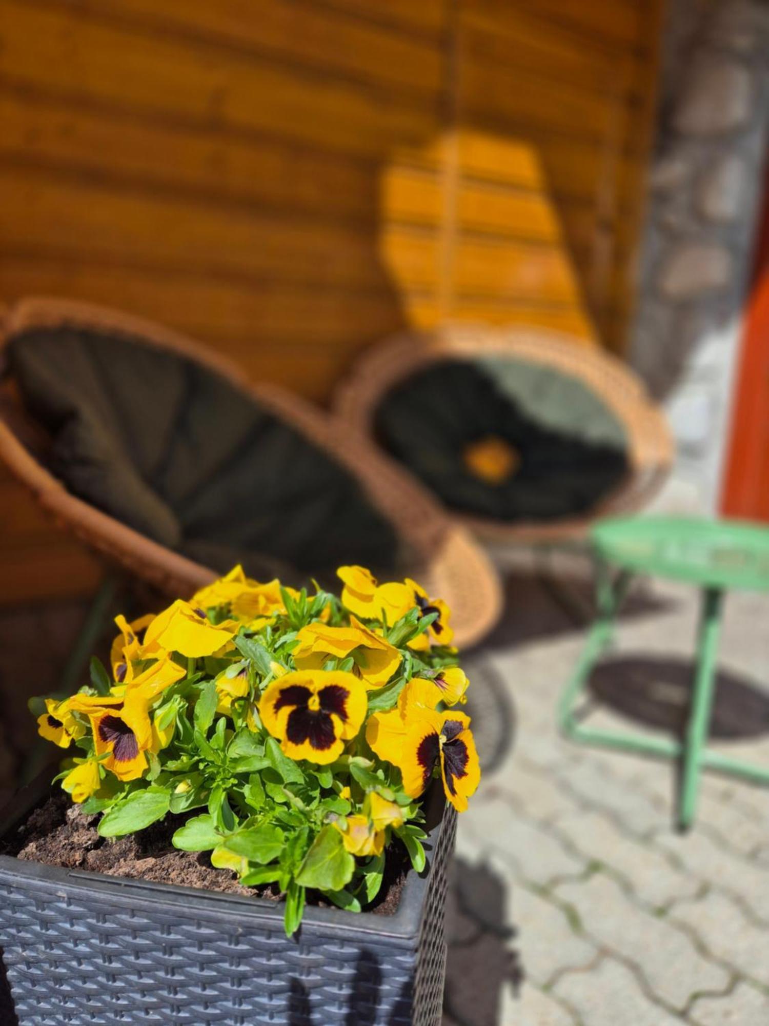 U Parow Sauna & Jacuzzi ビャウカ エクステリア 写真